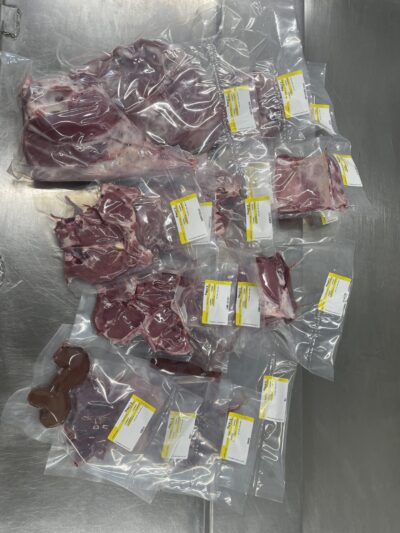 Demi Agneau de 8à11kg